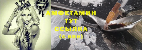 прущие грибы Богородицк