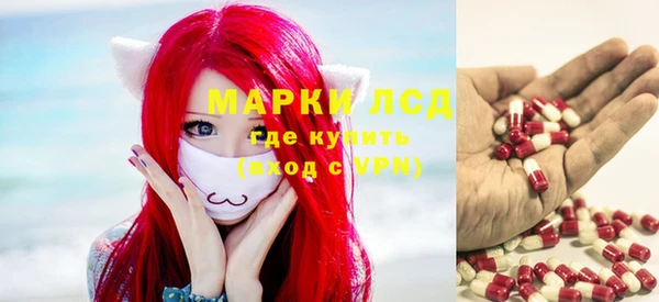 прущие грибы Богородицк