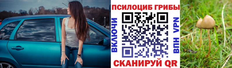 Псилоцибиновые грибы Magic Shrooms гидра зеркало Кондрово
