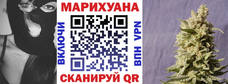 Бошки марихуана сатива магазин продажи ОМГ ОМГ рабочий сайт Кондрово